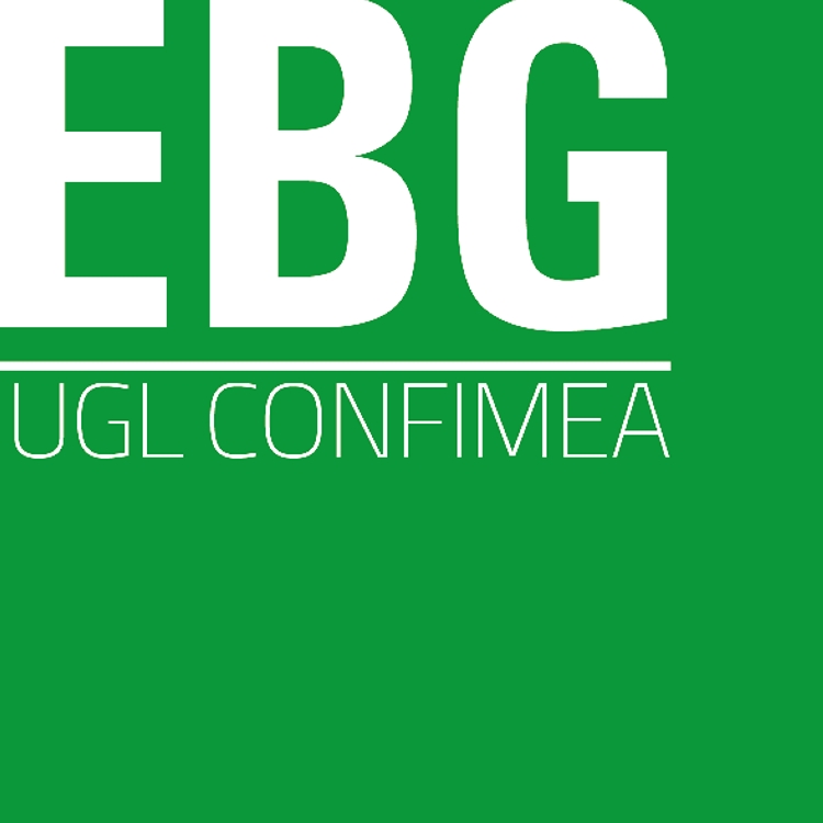 EBG Ente Bilaterale Generale e Organismo Paritetico